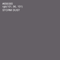 #656065 - Storm Dust Color Image